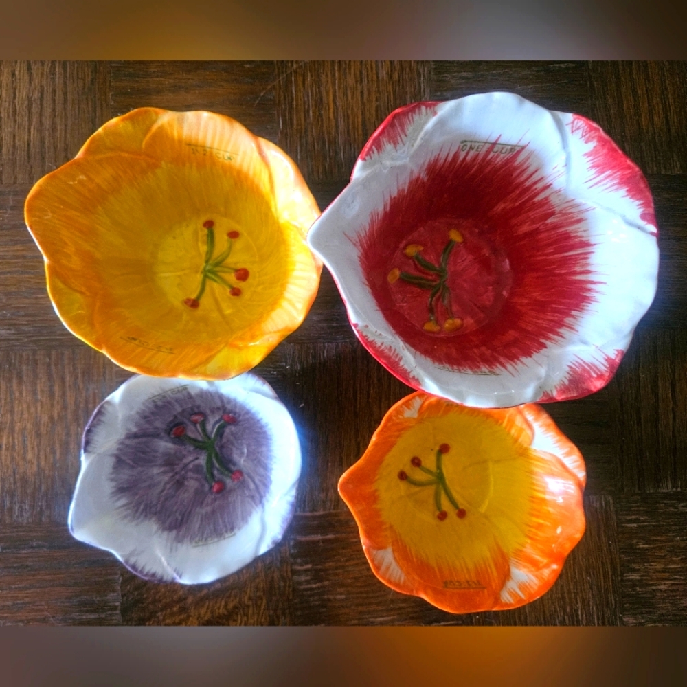 Pier 1 Set Of 4 Colorful Floral Measuring Cups - Hand-painted Stoneware